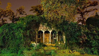 Beautiful photos of haunted New Orleans